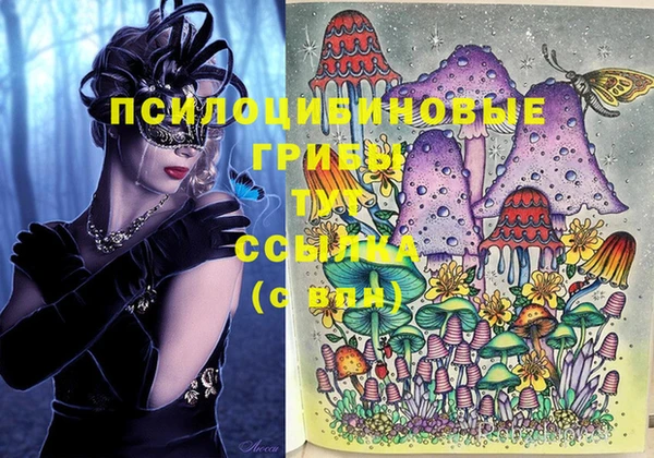 тгк Балахна