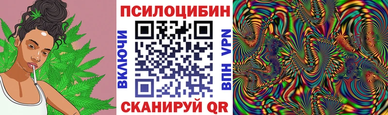 Галлюциногенные грибы мухоморы  Мураши 